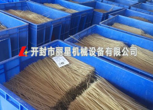 自動化紅薯粉條機視頻麗星億源加工現場全程