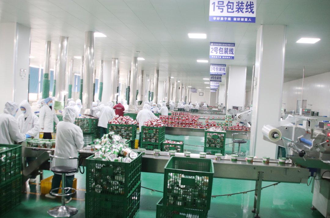 方便粉絲生產線廠家麗星