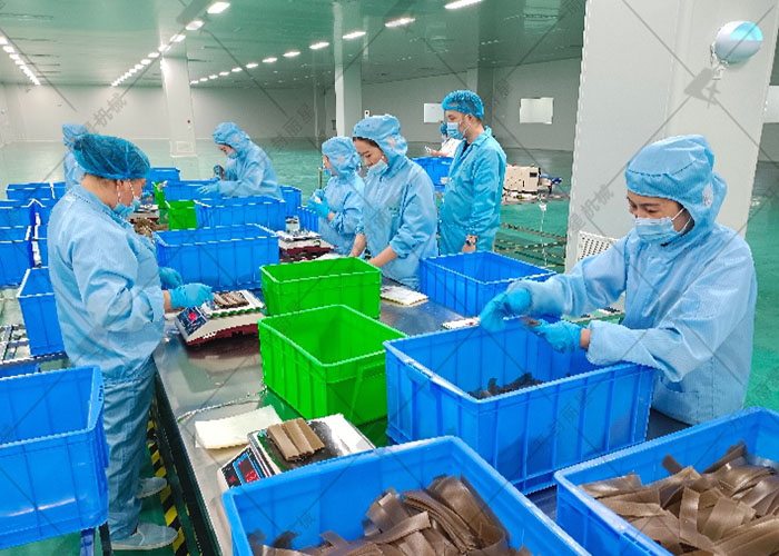 從紅薯到網紅苕皮小吃：麗星全流程生產線的工藝解析